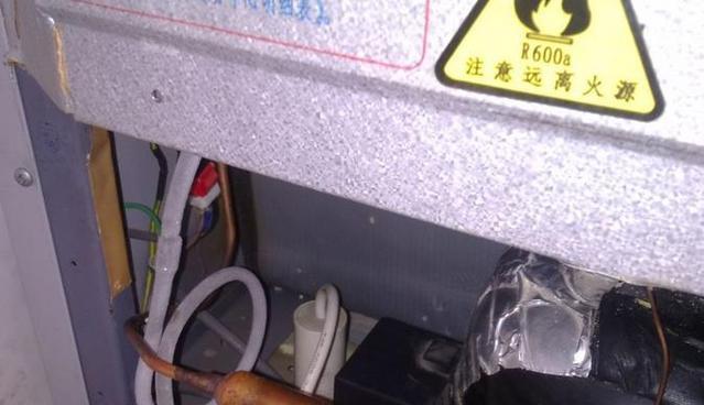 冰箱加氟的意义及方法探究（保持食物新鲜的关键步骤和技巧）