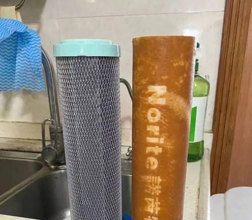 拥有净水器滤芯中存在塑料，怎样处理（解决净水器滤芯中塑料问题的有效方法与注意事项）