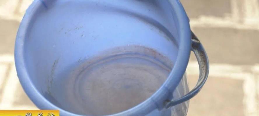 饮水机出现红虫怎么办？有效处理方法有哪些？