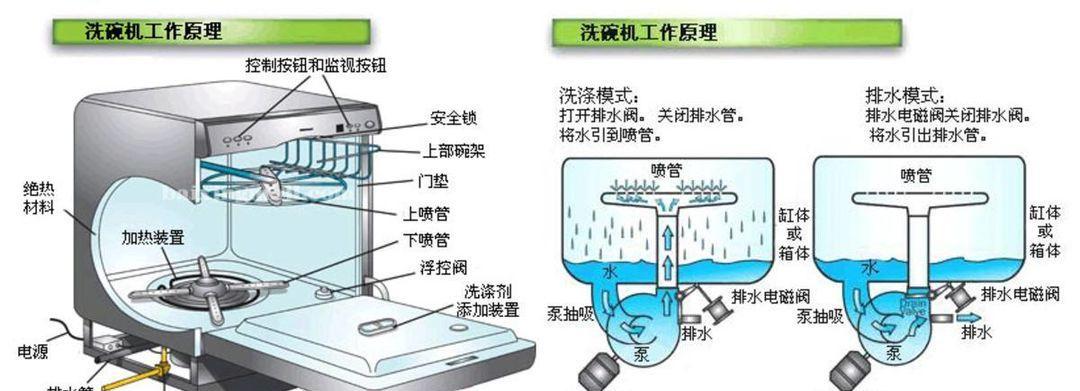 饮水机出现红虫怎么办？有效处理方法有哪些？