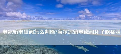 海尔冰箱电磁阀控制电路故障怎么办？维修方法有哪些？