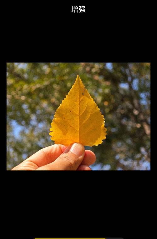 手机拍照时相框模糊？可能的原因有哪些？