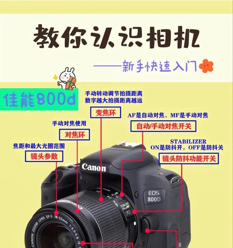 现在最实用的单反相机是什么？选择时应考虑哪些因素？