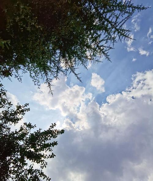 苹果手机如何拍摄远处物体？清晰度如何保证？