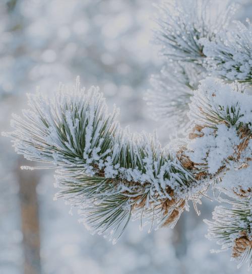 长焦相机镜头如何拍摄雪景？