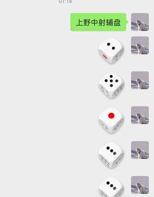 苹果手机摇骰子手机壳使用方法是什么？