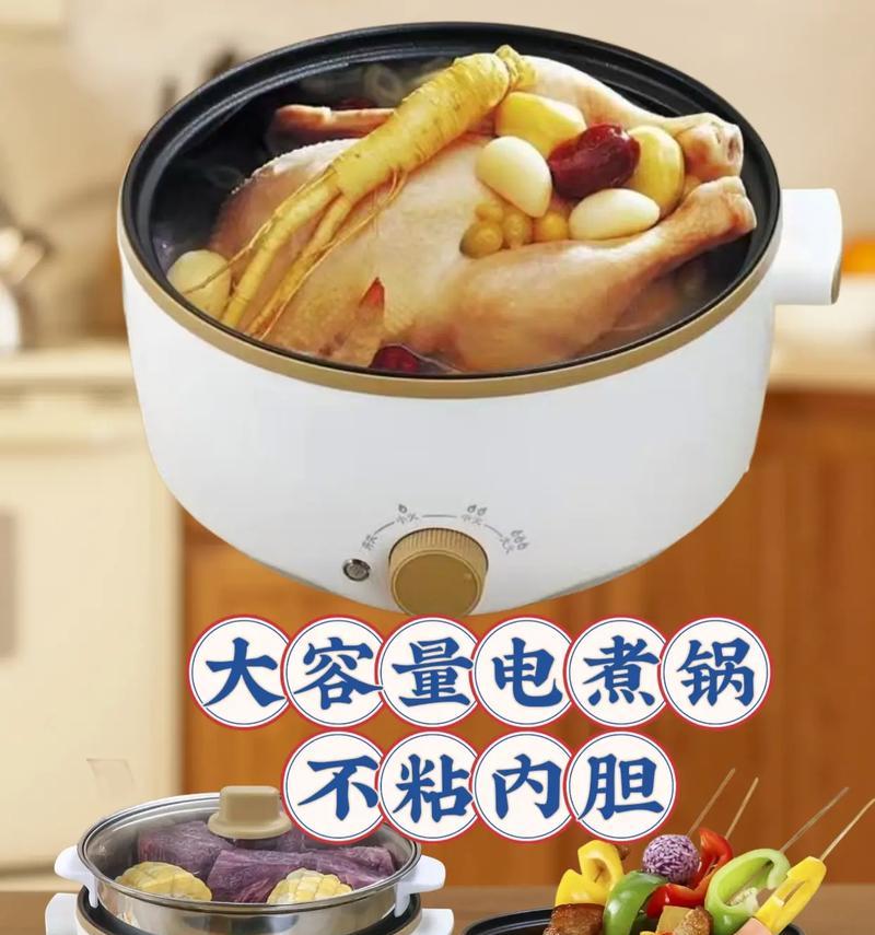 蒸车能否直接插电源使用？安全性和原理是什么？