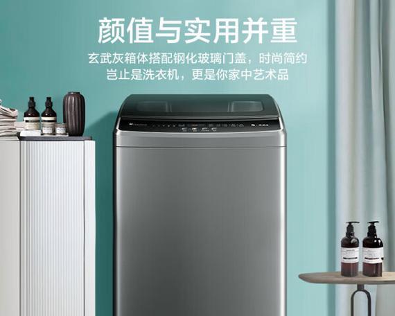 哪些品牌提供大容量洗衣机？