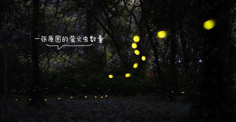 小米12如何拍摄萤火虫？拍摄技巧有哪些？