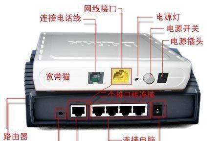 电脑线拔掉后如何重新连接网络？需要哪些步骤？