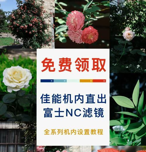 佳能相机安全模式调整方法是什么？