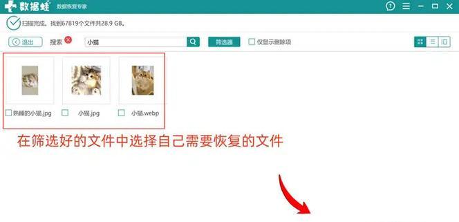 电脑未检测到移动硬盘怎么办？如何解决连接问题？
