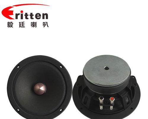电白地区音响喇叭生产厂家位置查询？