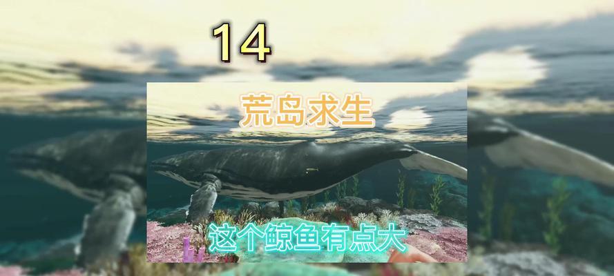 深海搁浅游戏中生火的方法是什么？