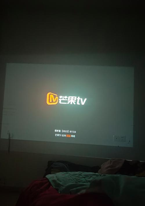 知麻投影仪故障及解决方法（如何快速修复知麻投影仪的常见故障）
