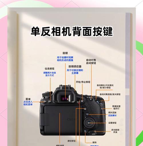 机械相机拍摄照片的正确步骤是什么？