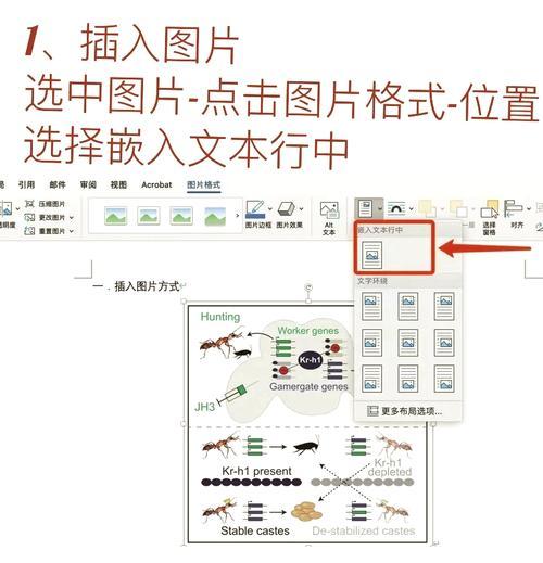 如何解决图片调整不清晰问题（一些简单的方法可以帮助您达到更好的效果）
